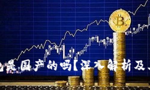 TP钱包是国产的吗？深入解析及其背景