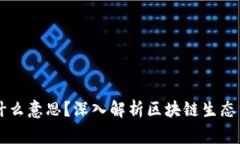 区块链的玩家是什么意思？深入解析区块链生态