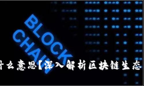 区块链的玩家是什么意思？深入解析区块链生态中的角色和影响力