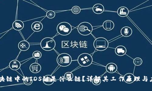 区块链中的IDS链是什么链？详解其工作原理与应用