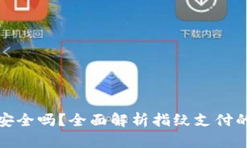 TP钱包指纹支付安全吗？全面解析指纹支付的安全性与便利性